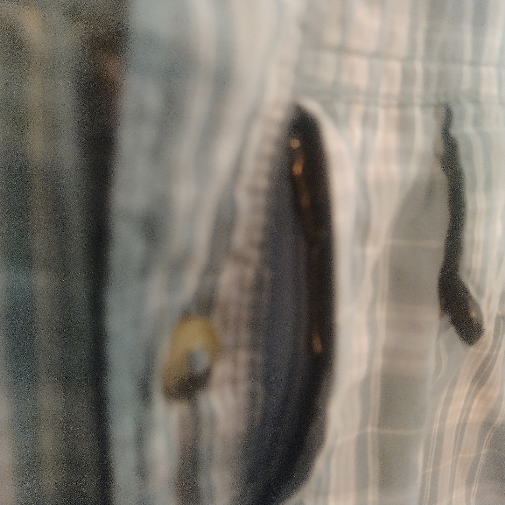 Wrangler Authentics Button Down Casual Shirt Size… - image 6